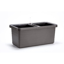 URBALIVE BERBERIS DUO...
