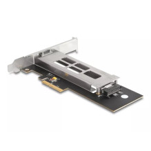DeLOCK Mobile Rack PCI...
