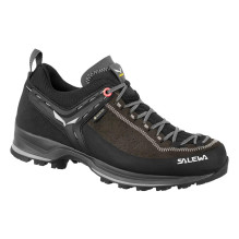 Salewa Mountain Trainer 2...