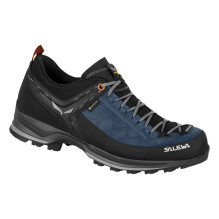 Salewa Men's MTN Trainer 2...