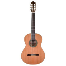 Prodipe Guitars Recital 300...