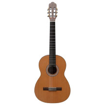 Prodipe Guitars Primera 4 /...