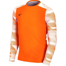 Nike Dry Park IV JSY LS GK...
