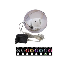 EUROPALMS LED sniega bumba...
