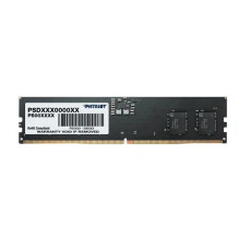 Patriot PSD516G560081...