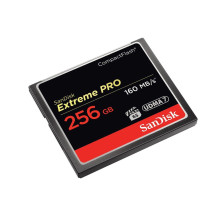 WESTERN DIGITAL SanDisk...