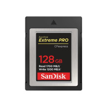 WESTERN DIGITAL SanDisk CF...