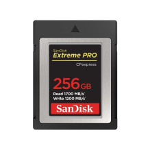 WESTERN DIGITAL SanDisk CF...