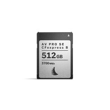 Angelbird AV PRO SE...