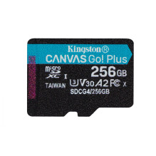 Kingston Technology 256GB...