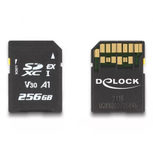 Atmiņas karte DeLOCK 256GB...