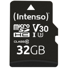 Intenso Professional...