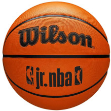 Wilson JR NBA Fam Logo...