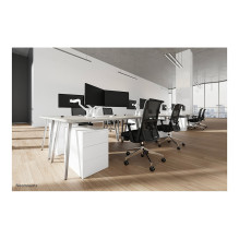 Neomounts DS70-250WH1 monitor mount / stand