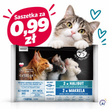 PETREPUBLIC Suaugusių otų ir skumbrių dėžutė – šlapias cat maistas – 4x100g PETREPUBLIC Suaugusių otų ir skumbrių dėžutė – šlapias cat maistas – 4x100g