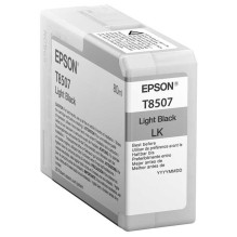 Epson T850700 Light Black