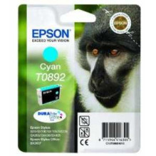 Epson C13T089240 Žydras