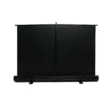 Elite Screens "F100NWH...
