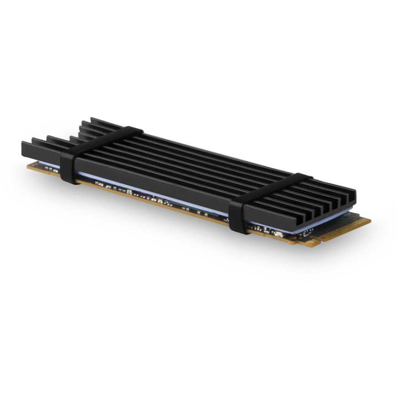 Axagon CLR-M2L3 Passive heatsink