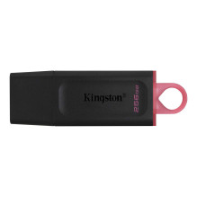Kingston 256GB DataTraveler...