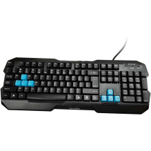 E-Blue Polygon Black (EN)