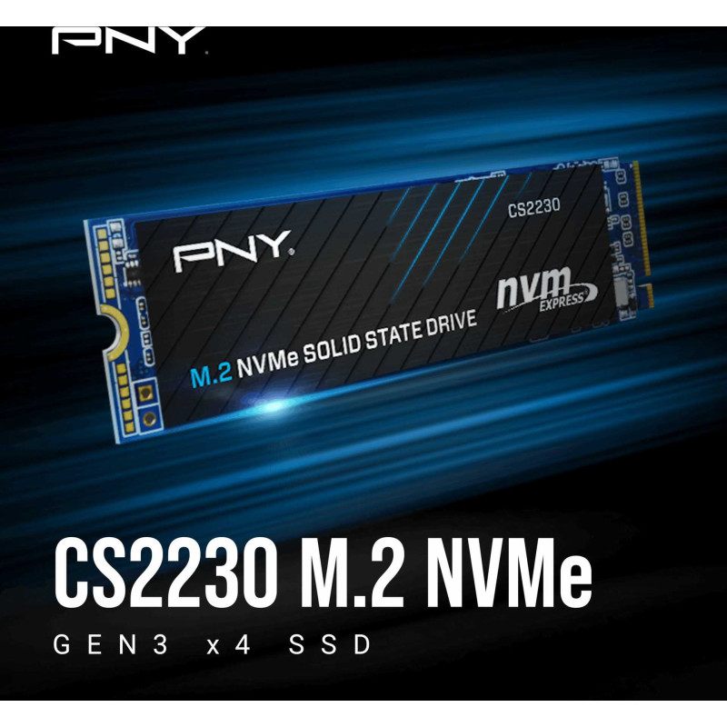 PNY CS2230 500GB M280CS2230-500-RB