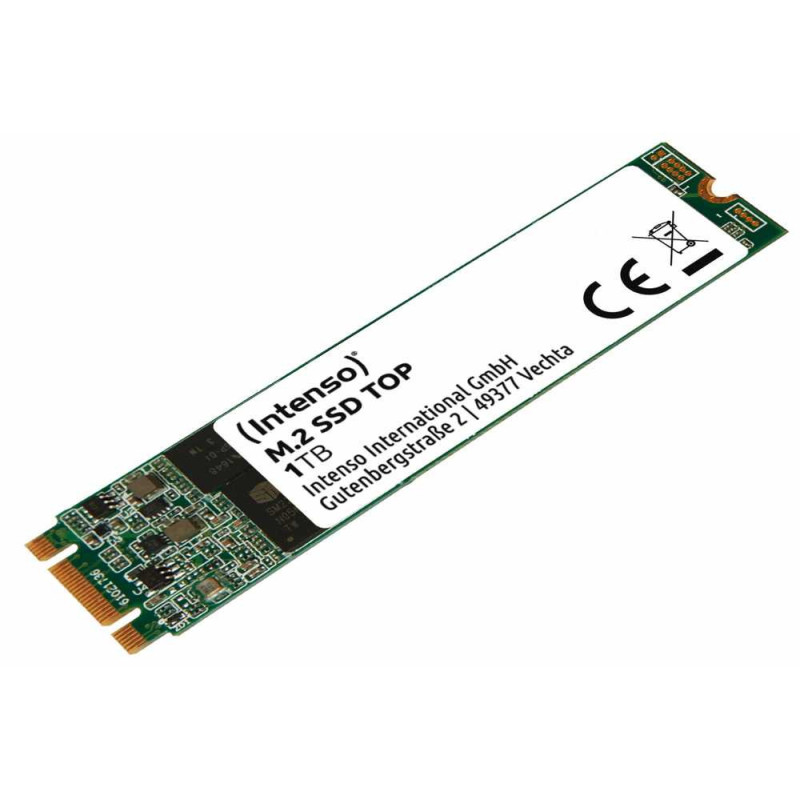 Intenso 1TB M.2 SATA III 3832460