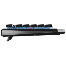 Genesis Rhod 300 RGB (US)