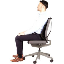 Fellowes Mesh Back Support...