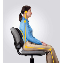 Fellowes Ultimate Back...