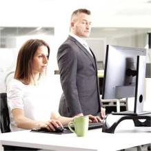 Fellowes Privacy Filter...