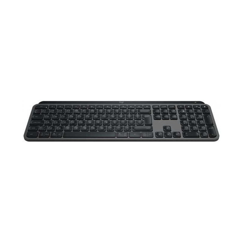 „Logitech MX Combo“ JAV grafito spalvos 920-011614