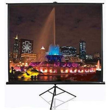 Elite Screens T113UWS1