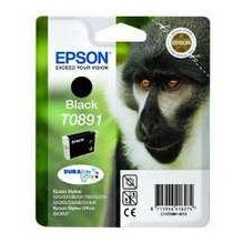 Epson C13T089140
