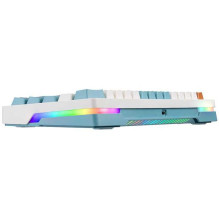 Tracer Gamezone Evo1 Hot...