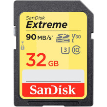 Sandisk SDSDXVT-032G-GNCIN