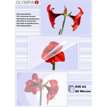Olympia OLYMPIA-9166