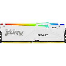 Kingston Fury Beast RGB...