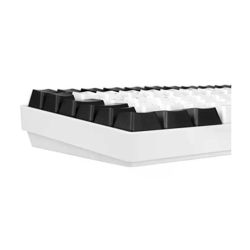 Sharkoon SGK50 S3 baltas