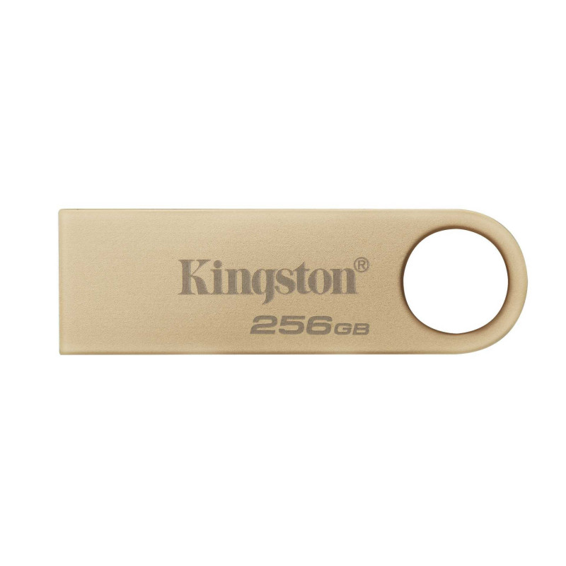 Kingston DataTraveler SE9 G3 256GB DTSE9G3 / 256GB