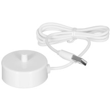 Vaikiškas dantų šepetėlis PHILIPS HX3601 / 01