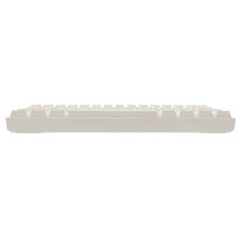 „White Shark GK-004221...