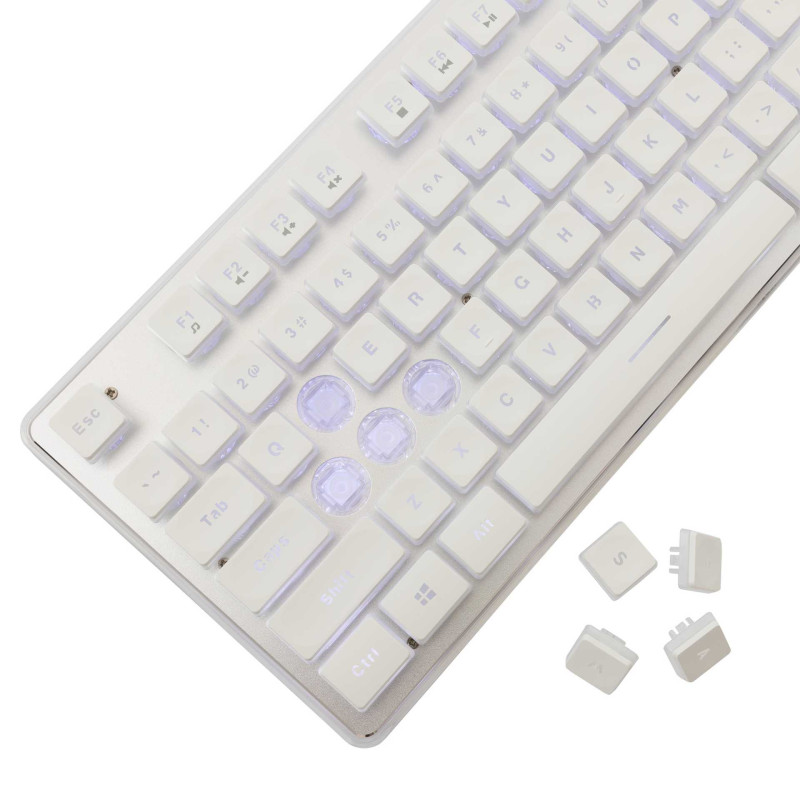 White Shark GK-003241 Tachi White US