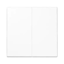 JUNG LS102WW - Kunststoff -...