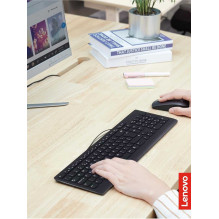 Lenovo 300 USB (US)