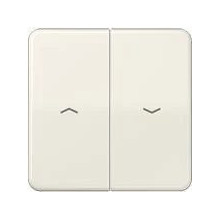 Jung CD595PPT