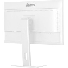 Iiyama ProLite...