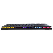 White Shark GK-006131...