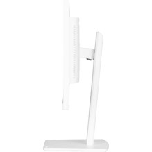 Iiyama ProLite...