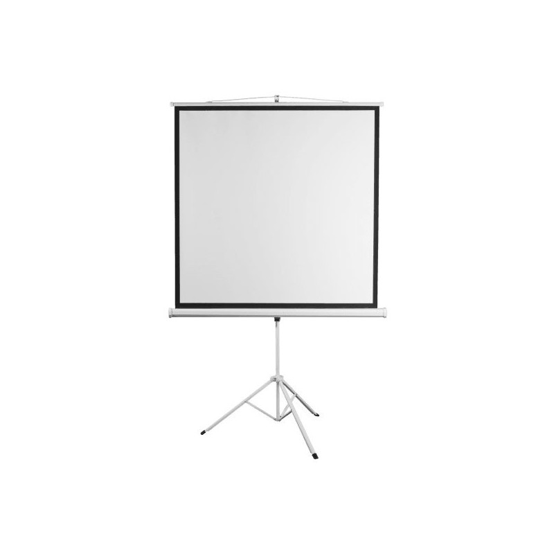 Sbox PSMT-135-2 Projektoriaus ekranas 240x240cm